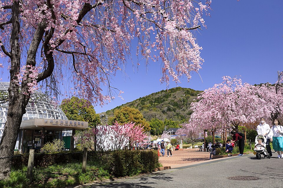 อุทยานผลไม้โทโกกุซัง (Togokusan Fruit Park / 東谷山フルーツパーク)